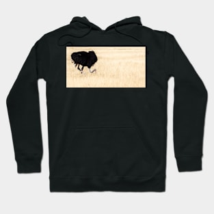 Ostrich. Hoodie